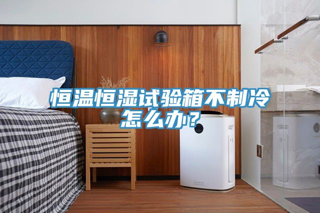 恒溫恒濕試驗箱不制冷怎么辦？