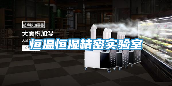 恒溫恒濕精密實(shí)驗室