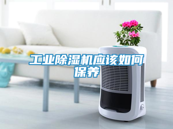 工業(yè)除濕機應該如何保養
