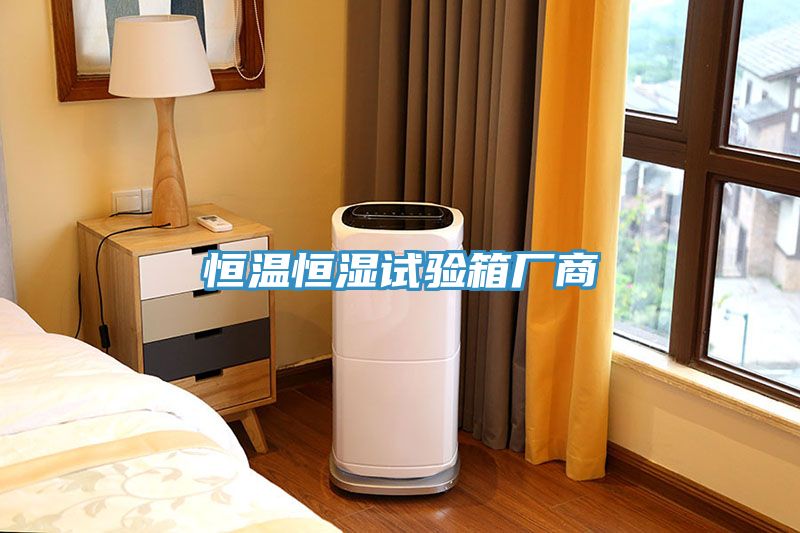 恒溫恒濕試驗箱廠(chǎng)商