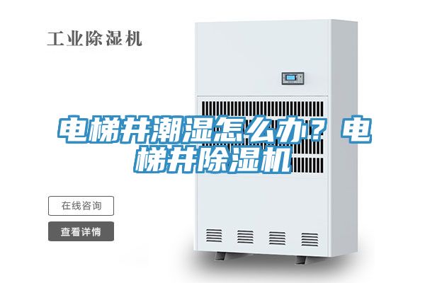 電梯井潮濕怎么辦？電梯井除濕機