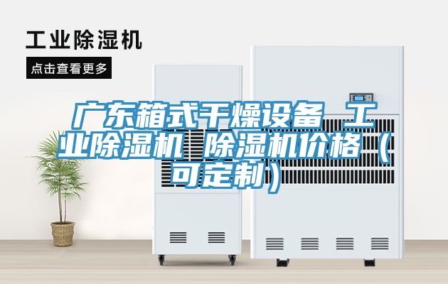 廣東箱式干燥設備 工業(yè)除濕機 除濕機價(jià)格（可定制）