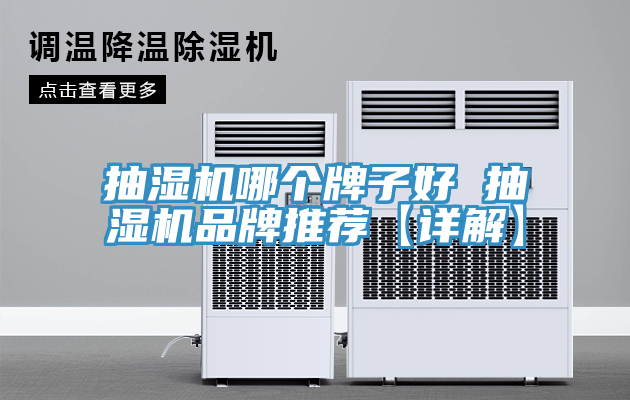 抽濕機哪個(gè)牌子好 抽濕機品牌推薦【詳解】