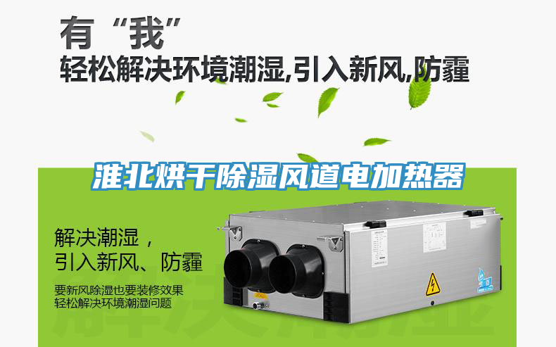 淮北烘干除濕風(fēng)道電加熱器