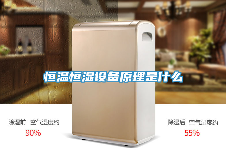 恒溫恒濕設備原理是什么