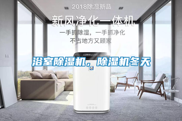 浴室除濕機，除濕機冬天