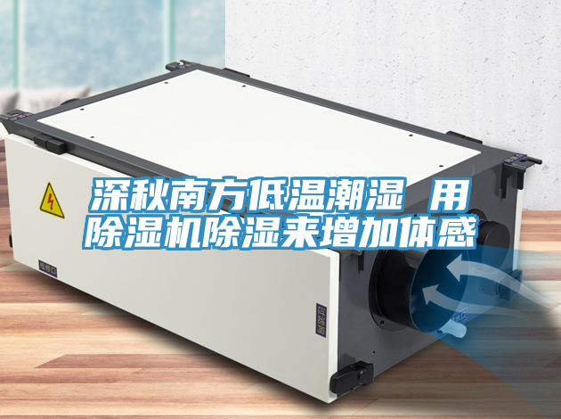 深秋南方低溫潮濕 用除濕機除濕來(lái)增加體感