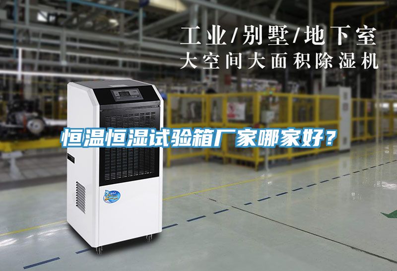 恒溫恒濕試驗箱廠(chǎng)家哪家好？