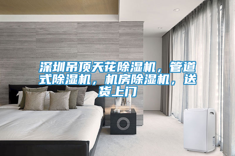 深圳吊頂天花除濕機，管道式除濕機，機房除濕機，送貨上門(mén)