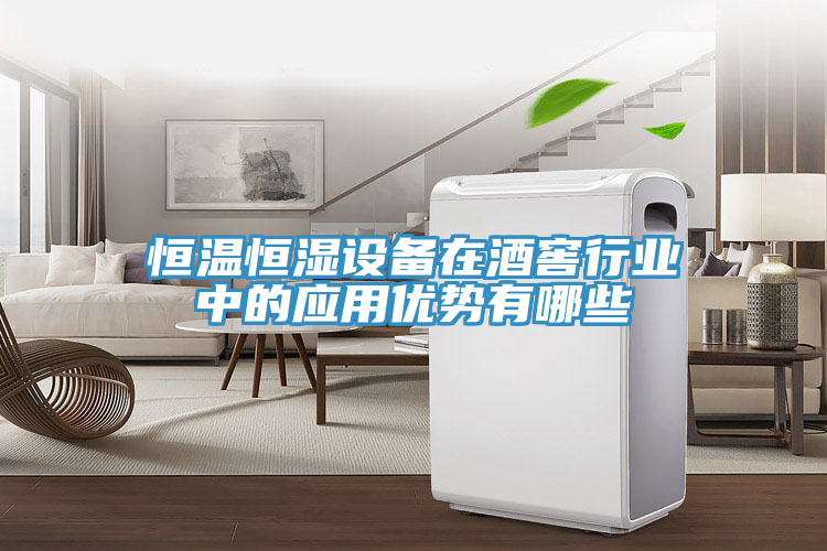 恒溫恒濕設備在酒窖行業(yè)中的應用優(yōu)勢有哪些