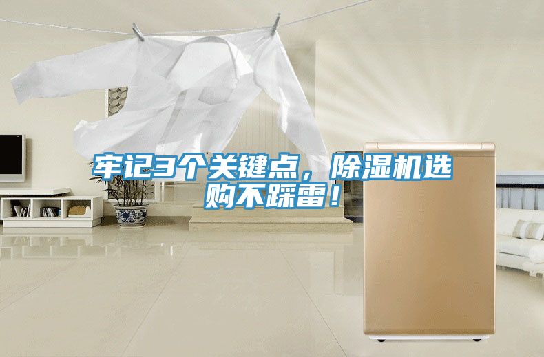牢記3個(gè)關(guān)鍵點(diǎn)，除濕機選購不踩雷！