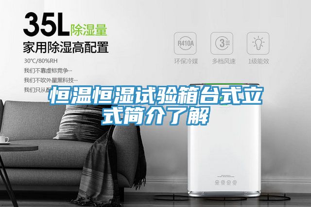 恒溫恒濕試驗箱臺式立式簡(jiǎn)介了解