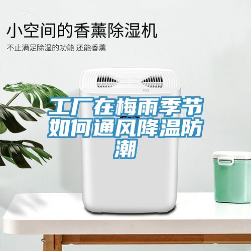 工廠(chǎng)在梅雨季節如何通風(fēng)降溫防潮