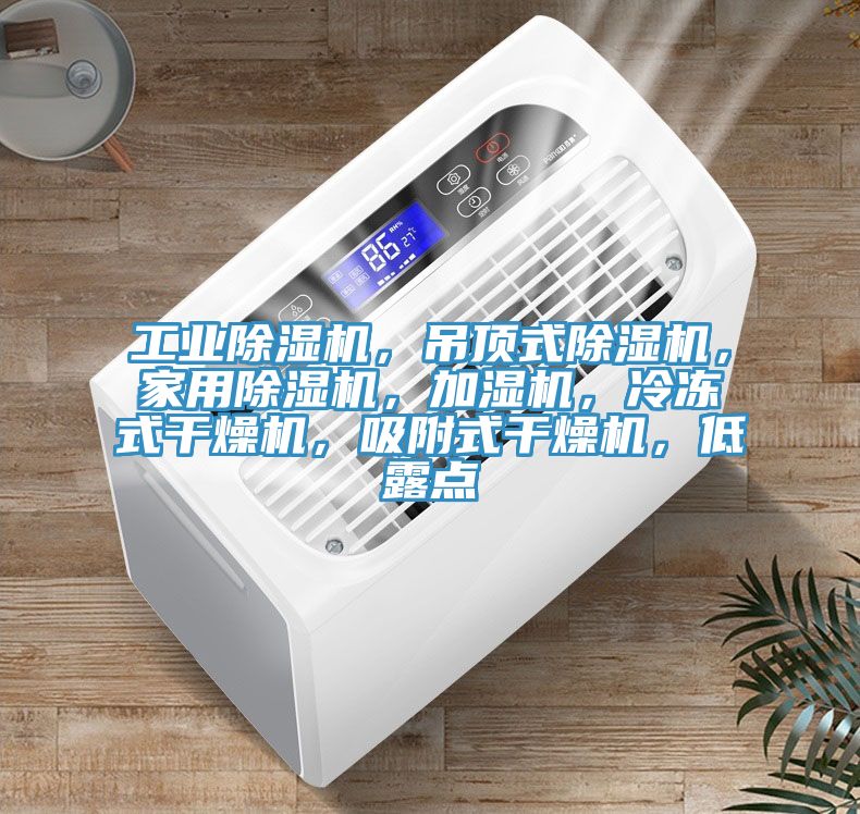 工業(yè)除濕機，吊頂式除濕機，家用除濕機，加濕機，冷凍式干燥機，吸附式干燥機，低露點(diǎn)