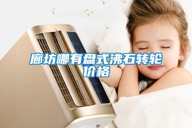 廊坊哪有盤(pán)式沸石轉輪價(jià)格