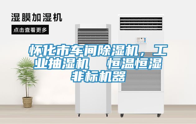 懷化市車(chē)間除濕機，工業(yè)抽濕機  恒溫恒濕非標機器