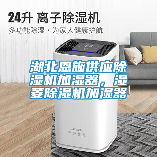 湖北恩施供應除濕機加濕器，濕菱除濕機加濕器