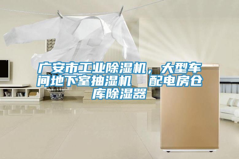 廣安市工業(yè)除濕機，大型車(chē)間地下室抽濕機  配電房倉庫除濕器