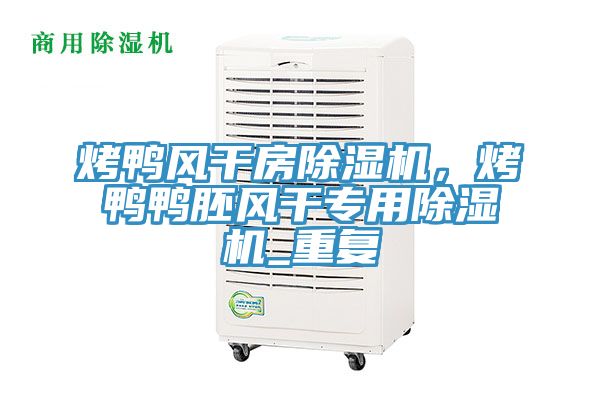 烤鴨風(fēng)干房除濕機，烤鴨鴨胚風(fēng)干專(zhuān)用除濕機_重復
