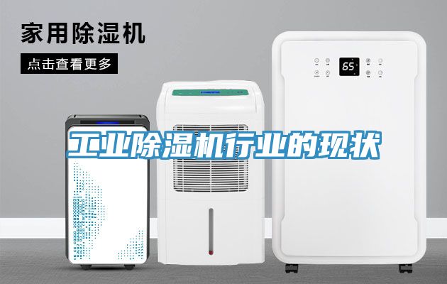 工業(yè)除濕機行業(yè)的現狀