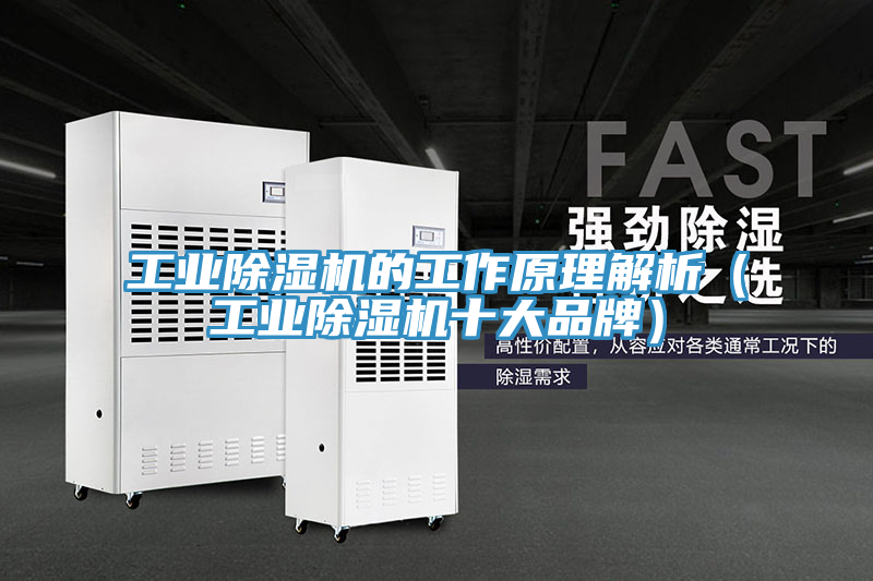 工業(yè)除濕機的工作原理解析（工業(yè)除濕機十大品牌）