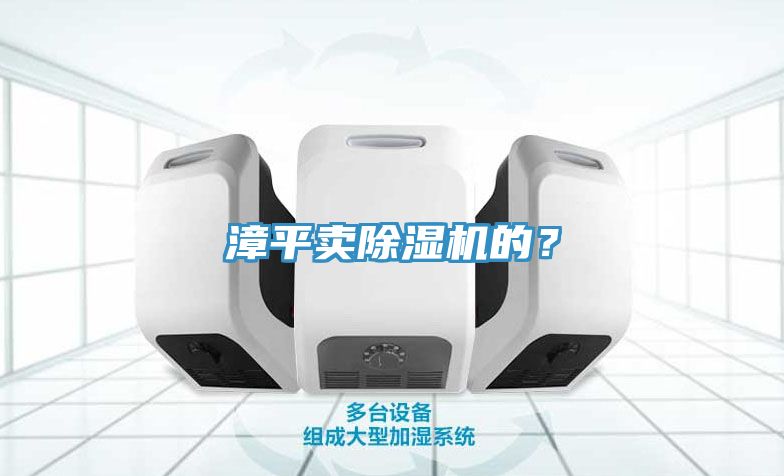 漳平賣(mài)除濕機的？