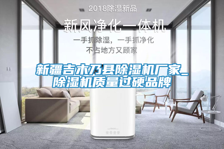 新疆吉木乃縣除濕機廠(chǎng)家_除濕機質(zhì)量過(guò)硬品牌
