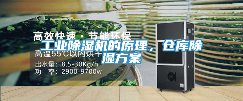 工業(yè)除濕機的原理，倉庫除濕方案