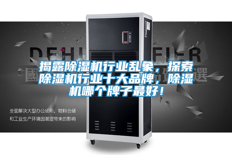 揭露除濕機行業(yè)亂象，探索除濕機行業(yè)十大品牌，除濕機哪個(gè)牌子最好！