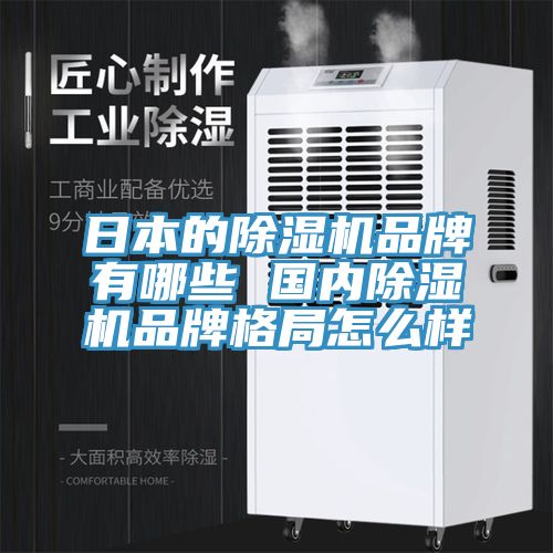日本的除濕機品牌有哪些 國內除濕機品牌格局怎么樣