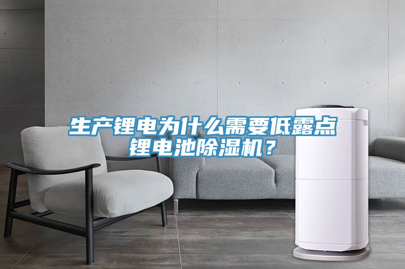 生產(chǎn)鋰電為什么需要低露點(diǎn)鋰電池除濕機？