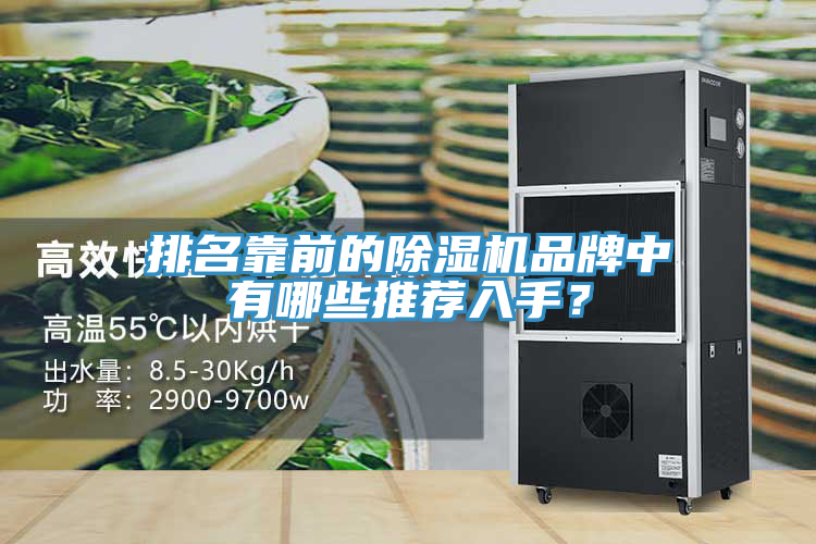 排名靠前的除濕機品牌中有哪些推薦入手？