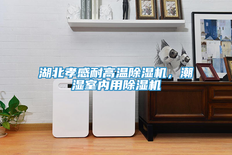 湖北孝感耐高溫除濕機，潮濕室內用除濕機