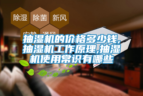 抽濕機的價(jià)格多少錢(qián),抽濕機工作原理,抽濕機使用常識有哪些