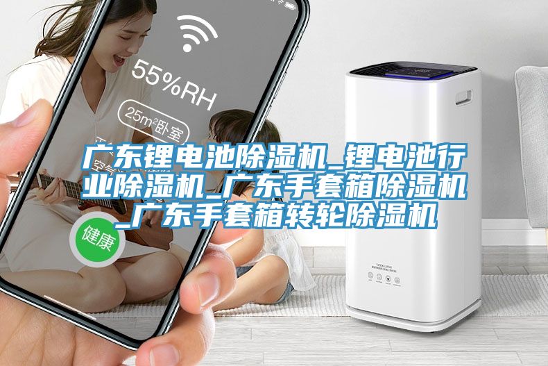 廣東鋰電池除濕機_鋰電池行業(yè)除濕機_廣東手套箱除濕機_廣東手套箱轉輪除濕機
