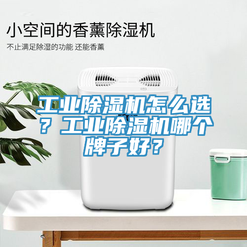 工業(yè)除濕機怎么選？工業(yè)除濕機哪個(gè)牌子好？