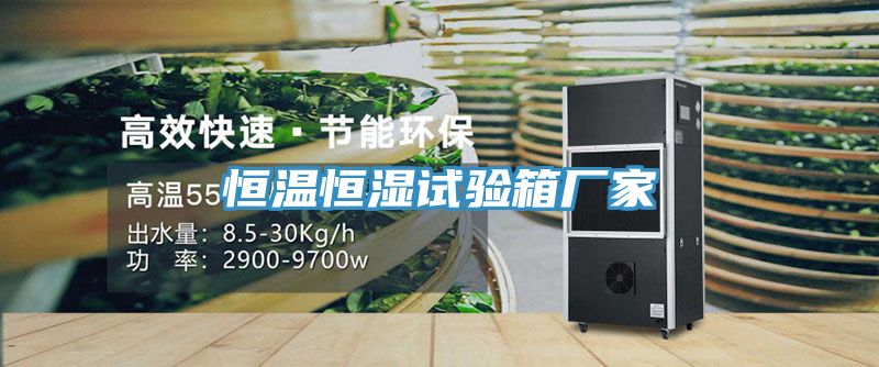 恒溫恒濕試驗箱廠(chǎng)家