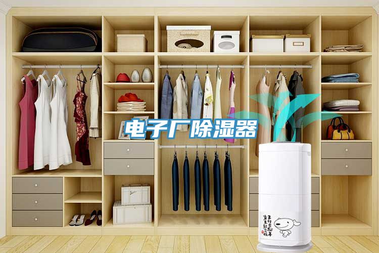 電子廠(chǎng)除濕器
