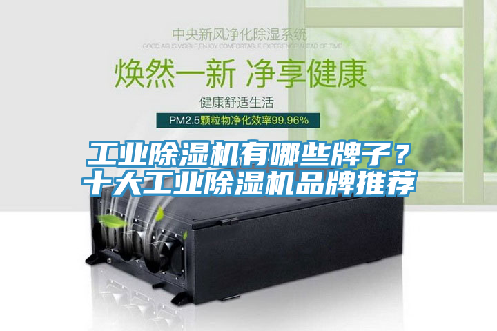 工業(yè)除濕機有哪些牌子？十大工業(yè)除濕機品牌推薦