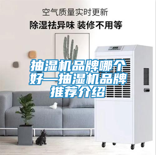 抽濕機品牌哪個(gè)好—抽濕機品牌推薦介紹