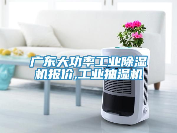 廣東大功率工業(yè)除濕機報價(jià),工業(yè)抽濕機