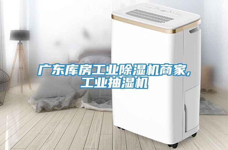 廣東庫房工業(yè)除濕機商家,工業(yè)抽濕機