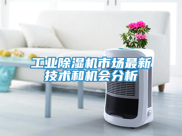 工業(yè)除濕機市場(chǎng)最新技術(shù)和機會(huì )分析