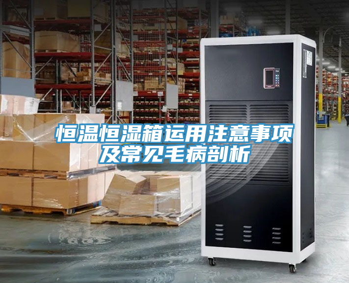 恒溫恒濕箱運用注意事項及常見(jiàn)毛病剖析