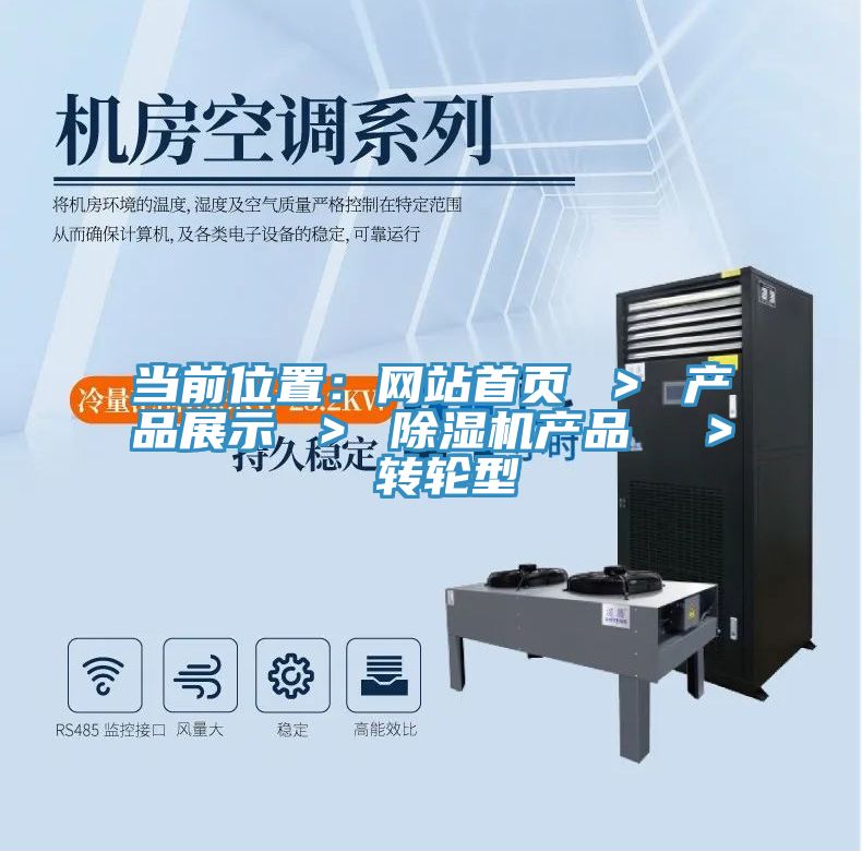 當前位置：網(wǎng)站首頁(yè) ＞ 產(chǎn)品展示 ＞ 除濕機產(chǎn)品  ＞ 轉輪型