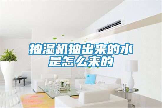 抽濕機抽出來(lái)的水是怎么來(lái)的