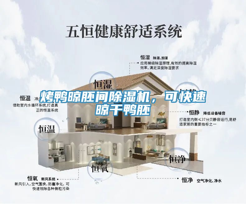 烤鴨晾胚間除濕機，可快速晾干鴨胚