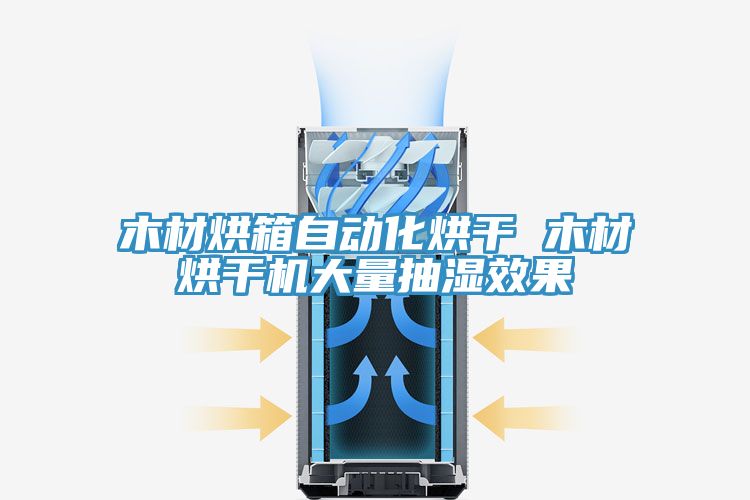 木材烘箱自動(dòng)化烘干 木材烘干機大量抽濕效果