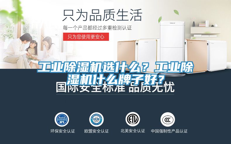 工業(yè)除濕機選什么？工業(yè)除濕機什么牌子好？