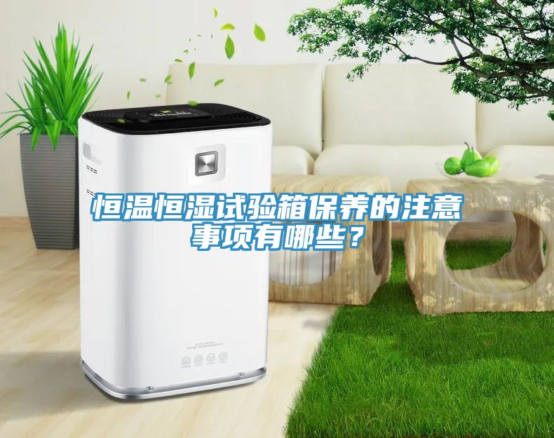 恒溫恒濕試驗箱保養的注意事項有哪些？